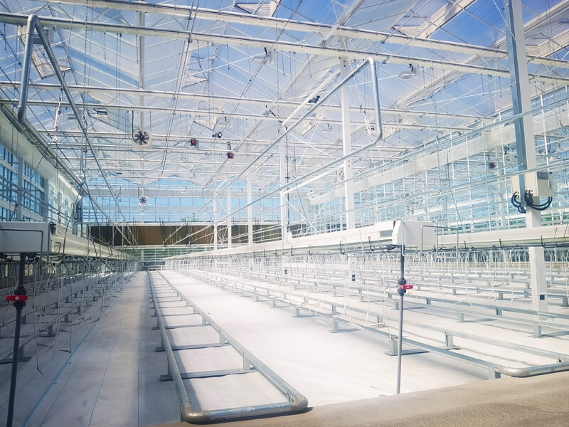 UPuper® rock wool R&D greenhouse equipped with Hoogendoorn IVVO Compact system.jpg