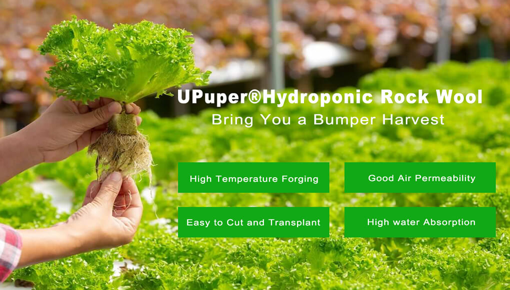 hydroponic rockwool slabs.jpg